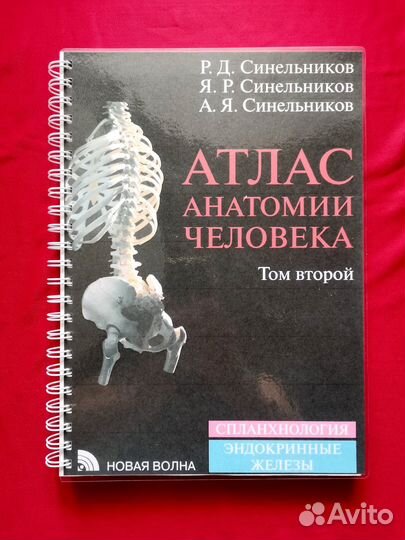 Атлас анатомии человека 2018-2019 гг