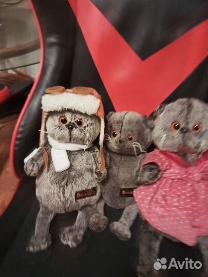 Котики баСики пакетом