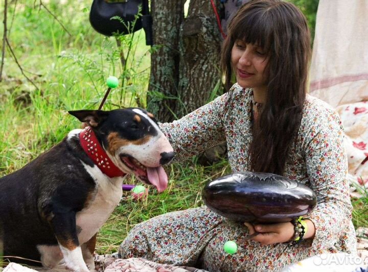 Регрессионный терапевт (регрессия,прогрессия)