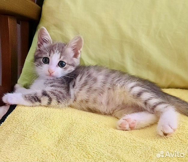 Ника ждет мам и пап