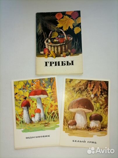 Набор Грибы