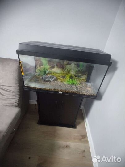 Аквариум с тумбой juwel