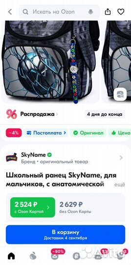 Ранец рюкзак школьный SkyName (скайнейм)