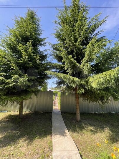 Дача 81 м² на участке 10,1 сот.