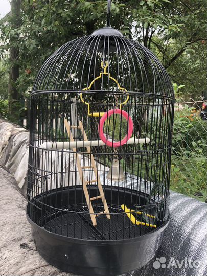 Клетка большая для попугаев