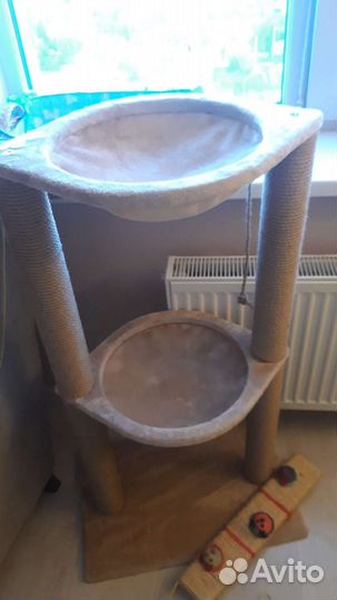 Когтеточка