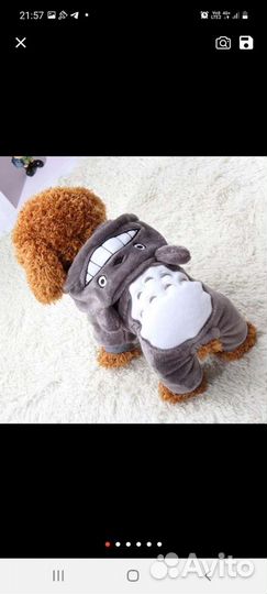 Вещи для маленьких собак