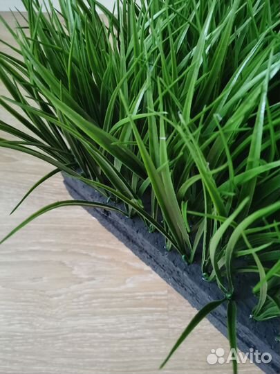 Искусственная трава осока для кашпо