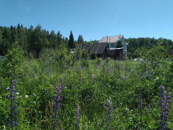 Участок 8 сот. (СНТ, ДНП)