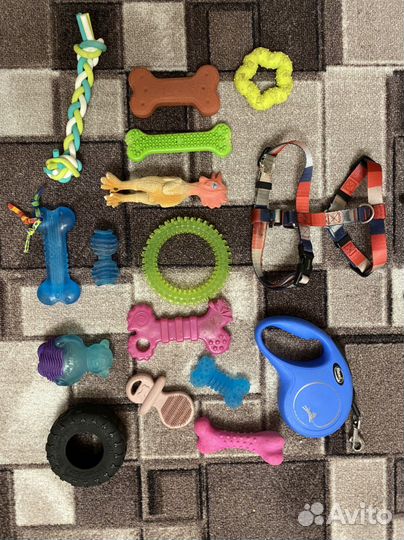 Одежда для собак мелких пород