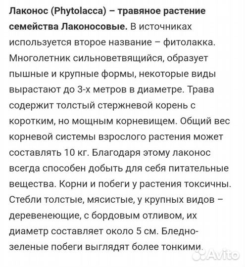 Лаконос (фитолакка), волжанка, купальница