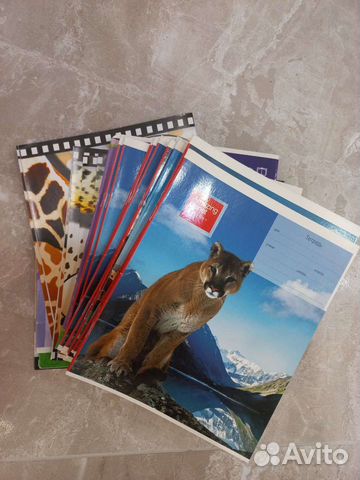 Тетради 18л по 30р