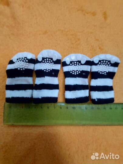 Шпиц уход, игрушка