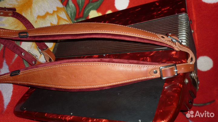 Баян weltmeister grandina