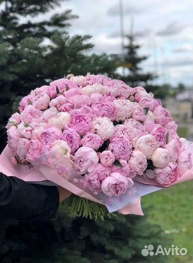 Пионы Букет пионов
