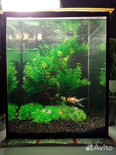 Аквариум 30л все как на фото
