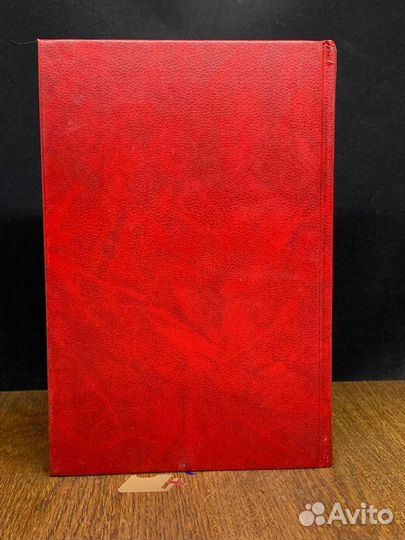 Крестоносцы