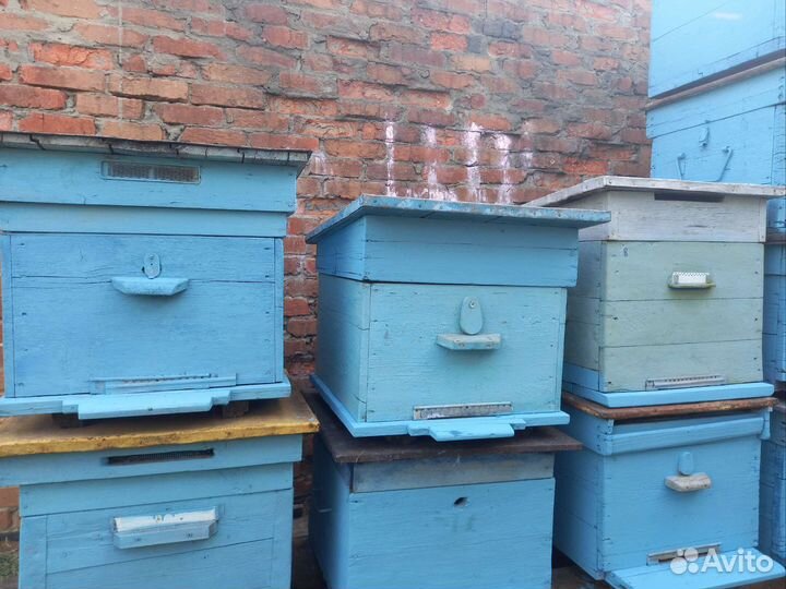 Улей дадан 12