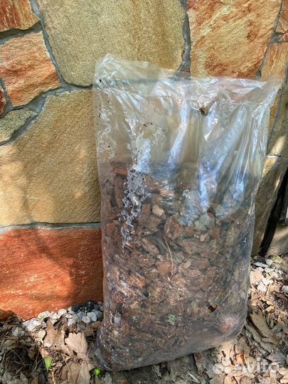 Мульча сосны фракция 3-6 премиум качество