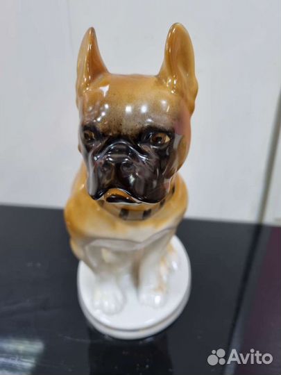 Статуэтка фарфоровая «Французский бульдог», лфз