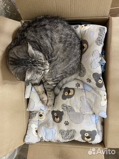 Детское постельное белье