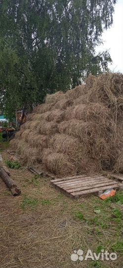 Сено в мини рулонах