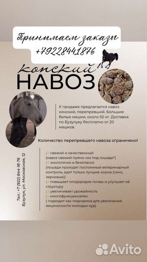 Навоз перегной конский