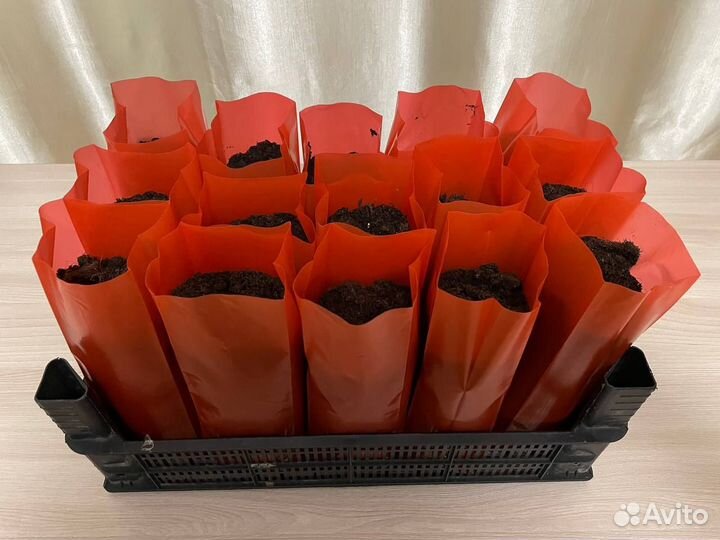 Пакеты для рассады 1 литр