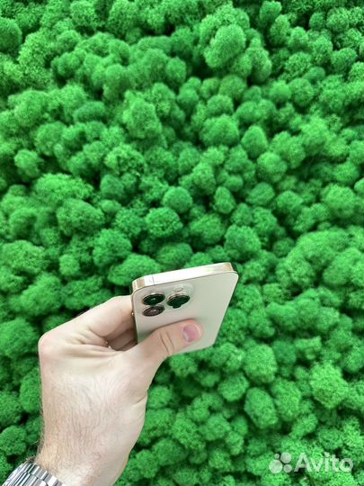 iPhone 13 Pro, 256 ГБ
