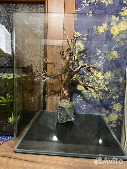 Аквариум dennerle 60 литров. бронь