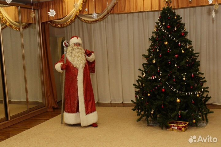 Дед Мороз в кружок или секцию, детский сад и школу