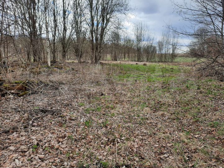 Участок 42 сот. (ИЖС)