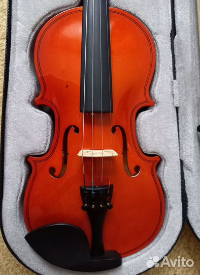 Скрипка 1/2