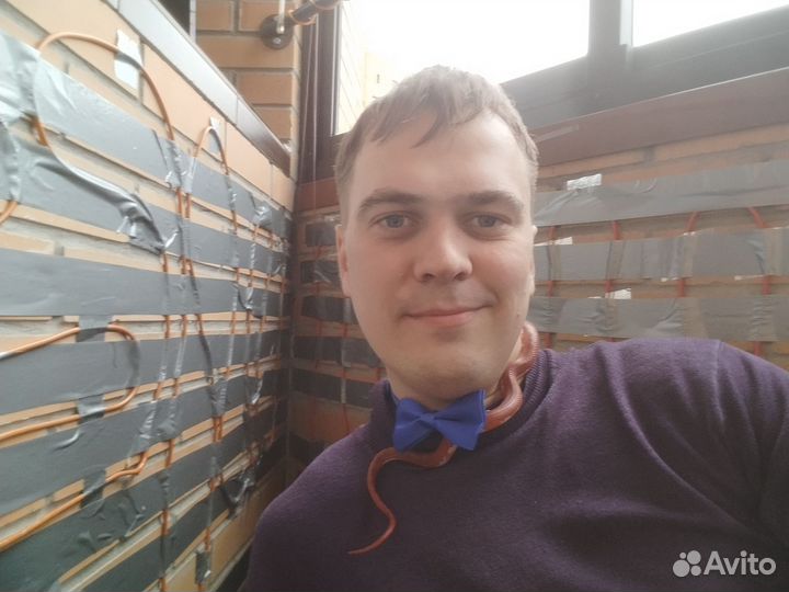 Аренда змей час, день, неделя. Фотосессия