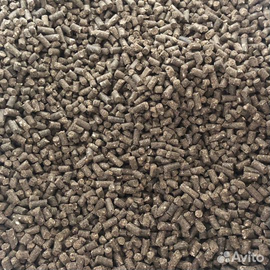 Корм для карпа сазана тиляпий