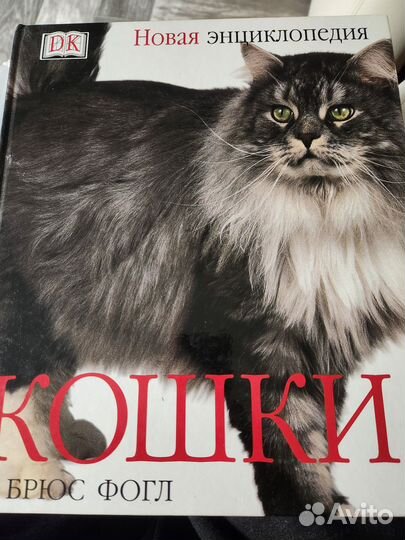 Книга все про кошек