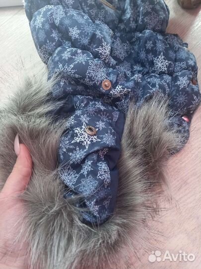 Жилетка для кошек и собак