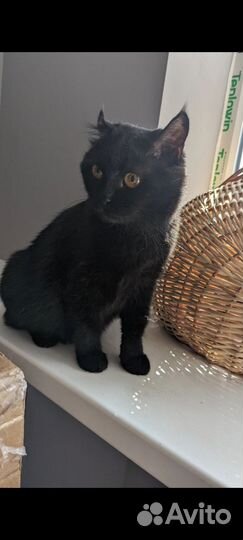 Глафира 1 год