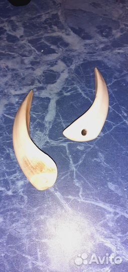 Клыки кабана