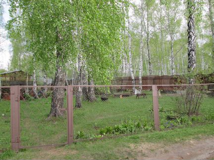 Участок 6 сот. (СНТ, ДНП)