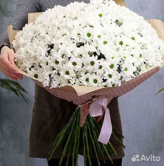 Доставка букетов и цветов. Хризантема