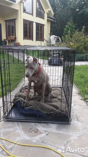 Клетка для большой собаки