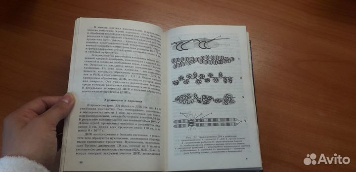 Г.Л.Билич, В.А.Крыжановский. Биология, анатомия