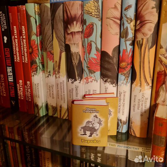 Книга - миниатюра 