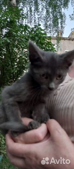 Малышка хочет к маме