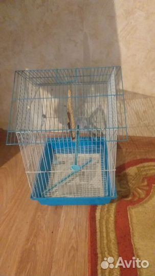 Клетка для попугая