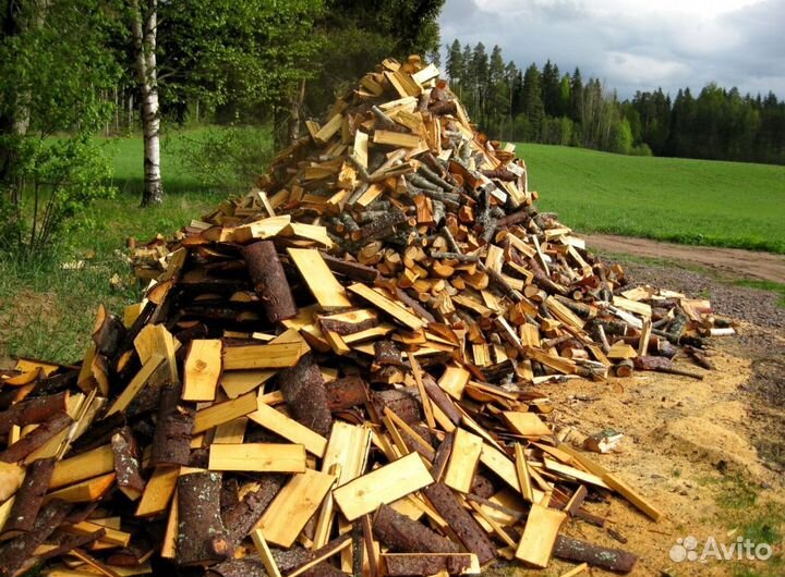 Дрова с Приморска