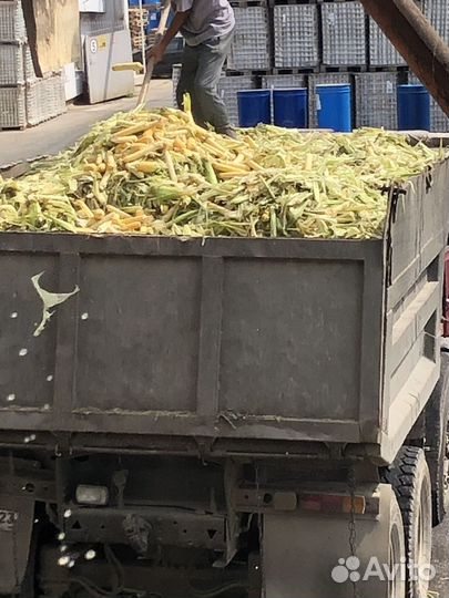 Корма для животных