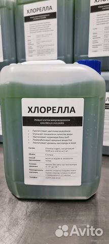 Бактерии для водоёма