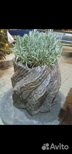 Флорариум